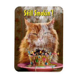 Funny Cranky Cat With Melted Birthday Cupcake Magnet