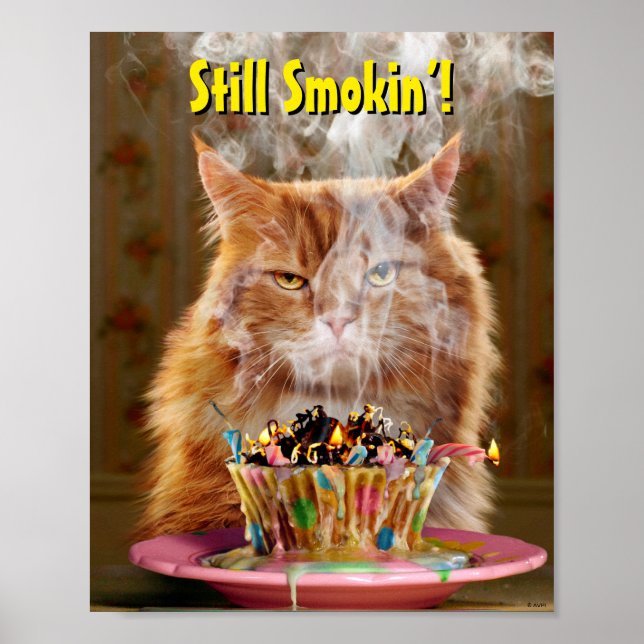 Funny Cranky Cat With Melted Birthday Cupcake Poster (Front)