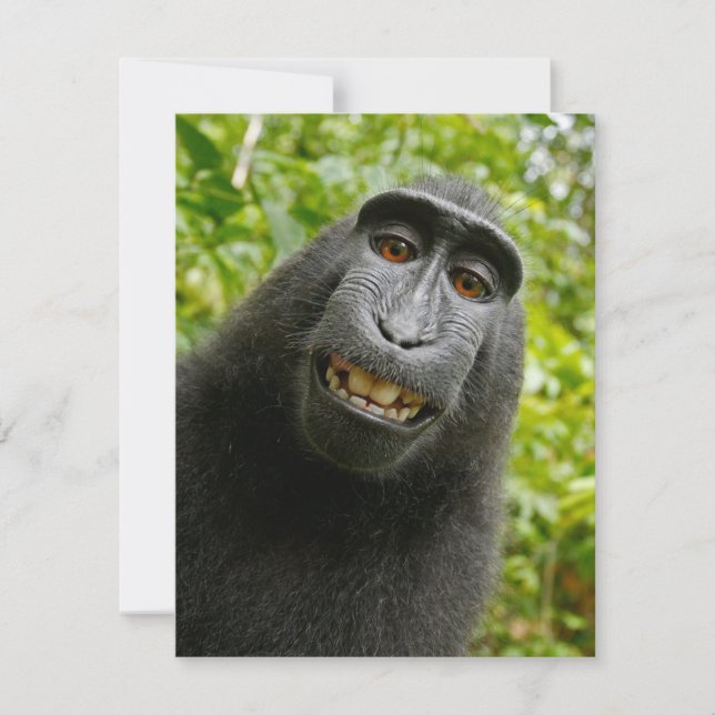Funny Crested Monkey Card (Front)
