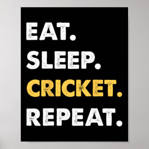 Funny Cricket Apparel Eat Sleep Cricket Repeat  Poster
