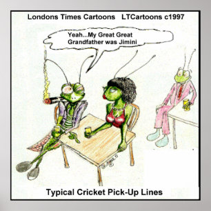 Funny Cricket Pick-Up Line Poster