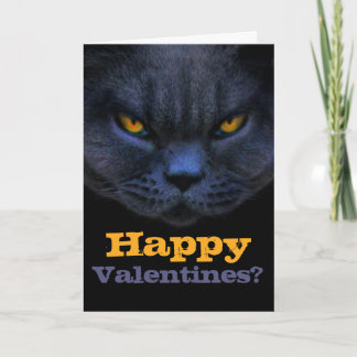 Funny Cross Cat Happy Valentines? Anti Valentine Holiday Card