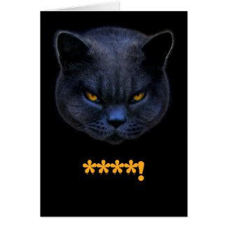 Funny Cross Cat says ****!