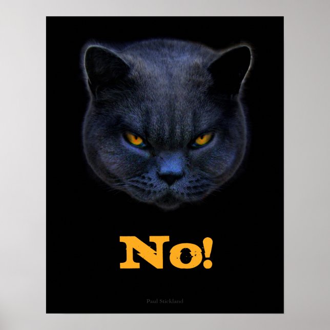 Funny Cross Cat says No Poster (Front)