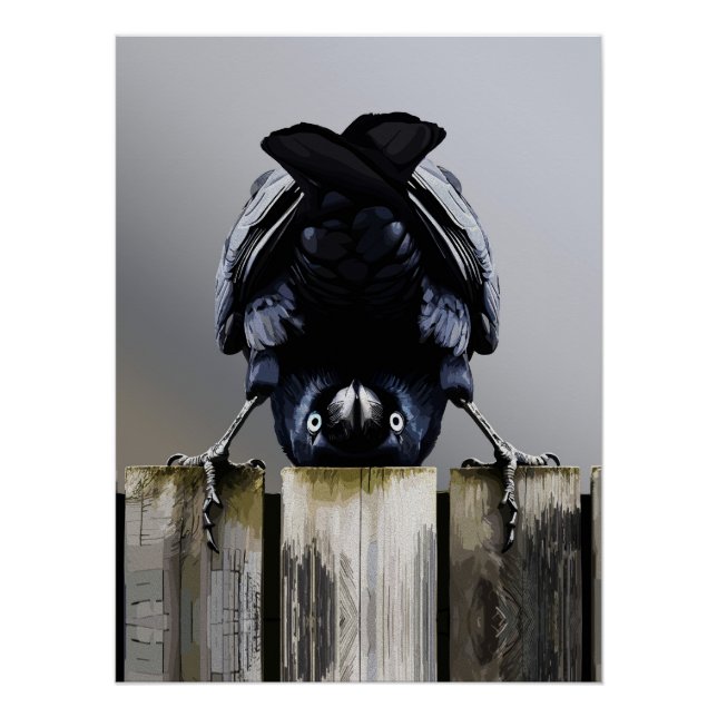 Funny Crow Wall Art – Upside-Down Bird  (Front)