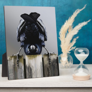 Funny Crow Wall Art – Upside-Down Bird Plaque
