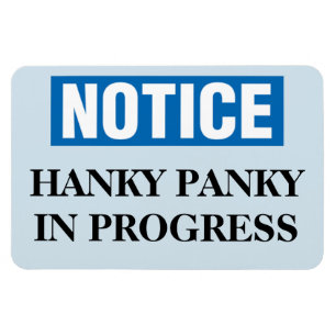 Funny Cruise Cabin Door Magnet - Hanky Panky