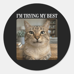 Funny Crying Cat Meme for Men Women Kids Silly Classic Round Sticker