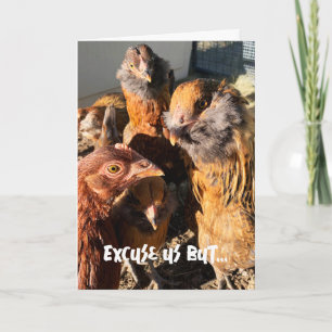 Funny Curious Amber Brown Chickens Close-Up Photo Card