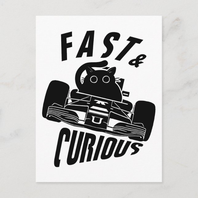 Funny Curious car driving cat Postcard (Front)