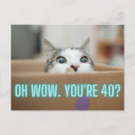 Funny Curious Cat 40th Birthday Postcard<br><div class="desc">Funny birthday postcard features photograph of curious cat peeking up from cardboard box with neon text that reads "Oh wow. You're 40?"  
Customisable "happy birthday" text on back</div>