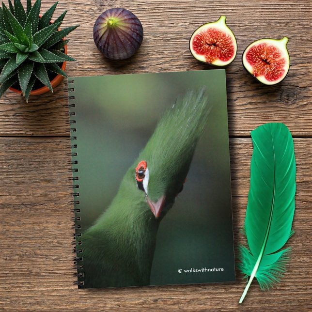 Funny Curious Guinea Turaco Green Bird Notebook (Funny and Curious Guinea Turaco Journal Cover Photo)