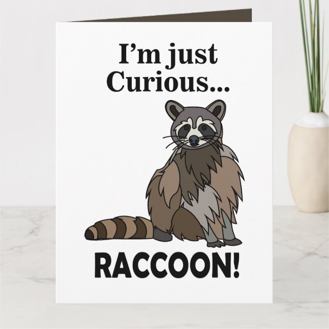 Funny Curious Racoon Card (Front)