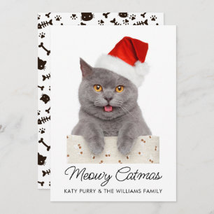 Funny Custom Cat Photo Christmas Card