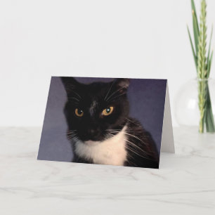 Funny Custom "From The Cat" Birthday Card