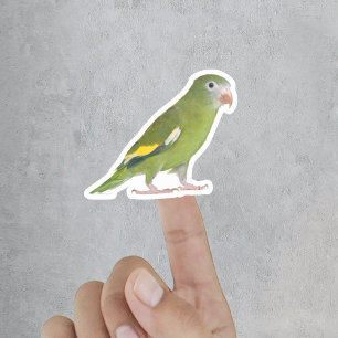 Funny Custom Pet Cut Out Photo