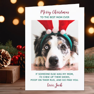 Funny Custom Pet Photo Dog Mum Merry Christmas Holiday Card