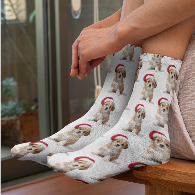 Funny Custom Pet Photo Socks (Creator Uploaded)