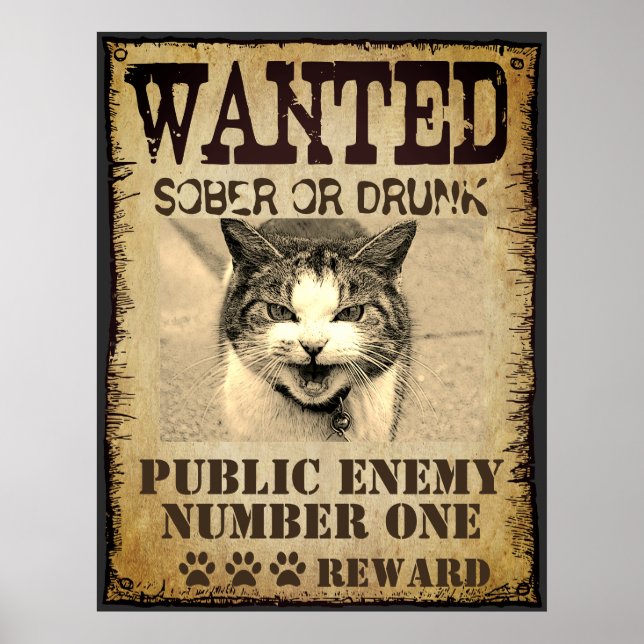 Funny custom wanted poster (Front)