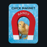 Funny Customisable Name Chick Magnet<br><div class="desc">Get your hunky chick magnet a magnet with his name on it. A photo of a large red magnet with his name on it (customisable) with a cute chick stuck to the magnet. Literally! Fun gag gift.</div>