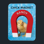 Funny Customisable Name Chick Magnet<br><div class="desc">Get your hunky chick magnet a magnet with his name on it. A photo of a large red magnet with his name on it (customisable) with a cute chick stuck to the magnet. Literally! Fun gag gift.</div>