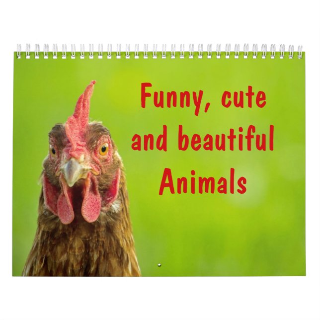 Funny, Cute and Beautiful Animals Calendar (Cover)
