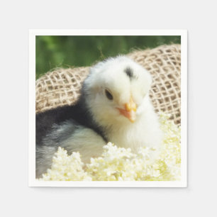  funny cute animals chicken farm  iPad Pro Cover Napkin