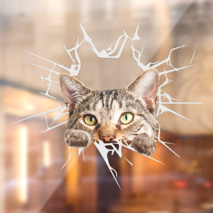 Funny Cute Car Sticker Cat from Broken Glass