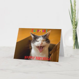 Funny Cute Cat in a Box Birthday Greeting Card 