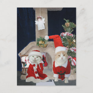 Funny/Cute Christmas Kitty Condo Holiday Postcard