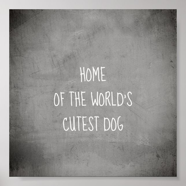 funny  cute collage  dog quote poster art (Front)