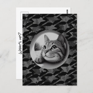 Funny Cute Cool Cat What's Up Animals Hello Meow Postcard
