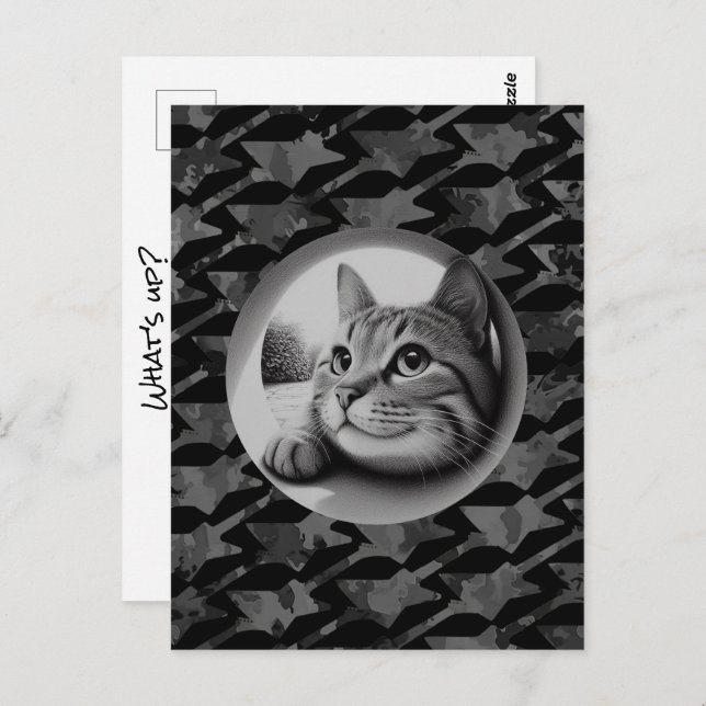 Funny Cute Cool Cat What's Up Animals Hello Meow Postcard (Front/Back)