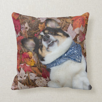 Funny, Cute, Corgi Look Cushion