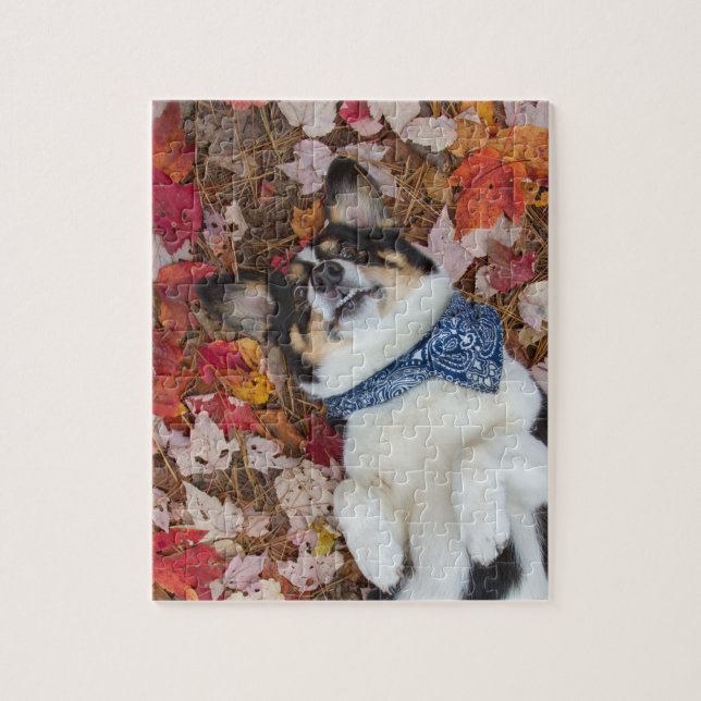 Funny, Cute, Corgi Look Jigsaw Puzzle (Vertical)