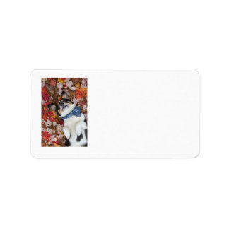 Funny, Cute, Corgi Look Label