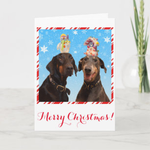 Funny, cute Doberman dog Christmas card