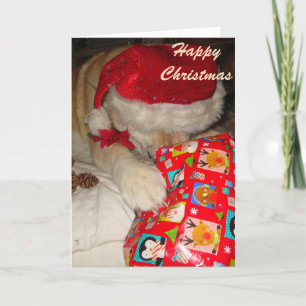 funny cute dog asleep and dressed for christmas holiday card