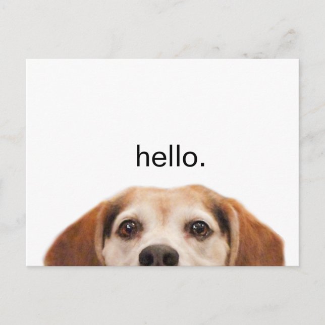 Funny Cute Dog Beagle Hello Modern Postcard (Front)