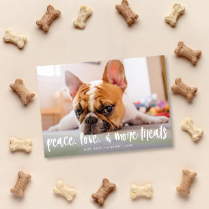 Funny Cute Dog Cat Treats Holiday Photo Card