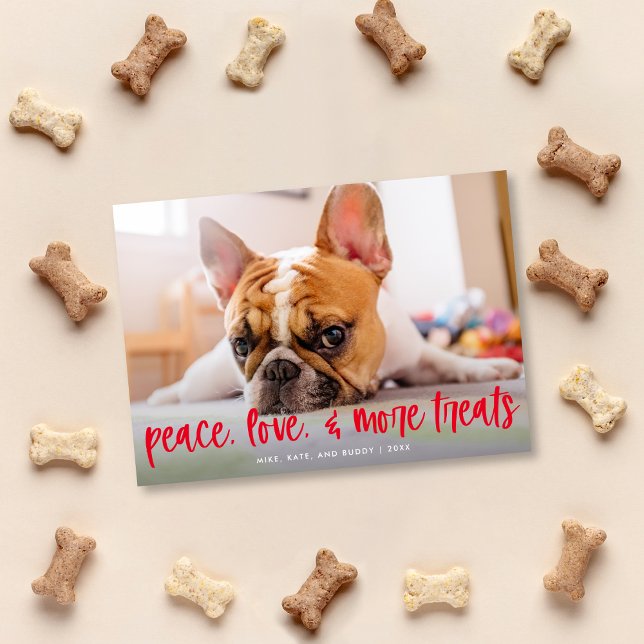Funny Cute Dog Cat Treats Holiday Photo Card (Creator Uploaded)
