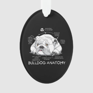 Funny Cute English Bulldog Anatomy Dog Biology Ornament