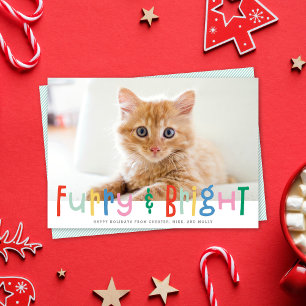 Funny Cute Furry & Bright Dog Cat Pet Photo Holiday Card