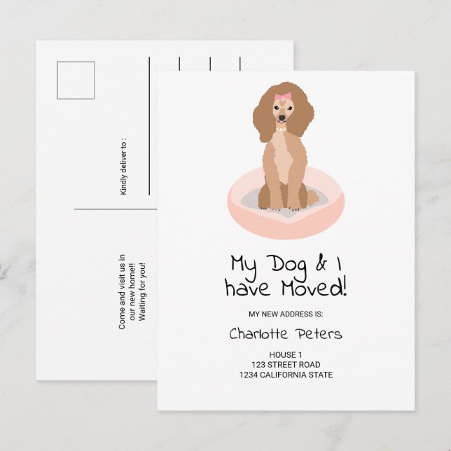 Funny cute girly poodle dog illustration moving announcement postcard (Front/Back)