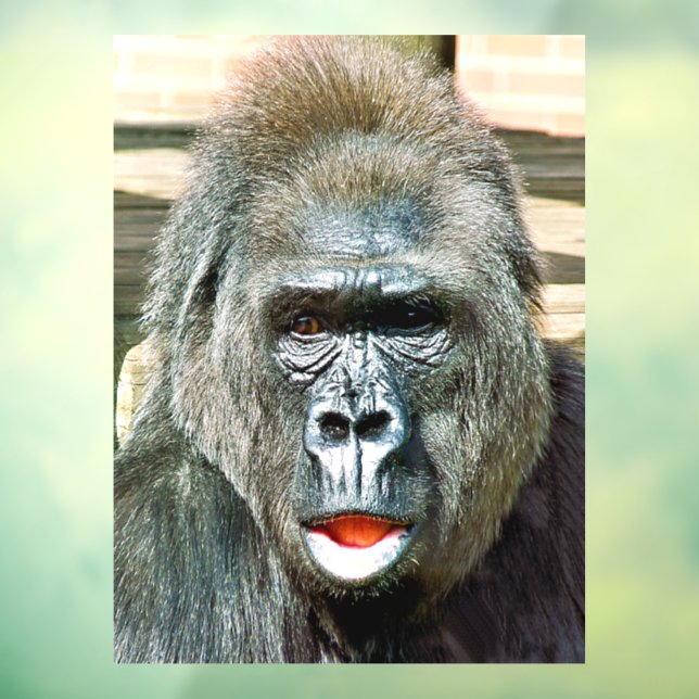 FUNNY CUTE GORILLA (Sheet 3)