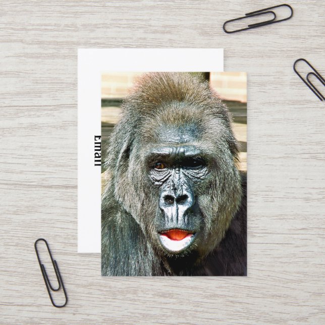 FUNNY CUTE GORILLA BUSINESS CARD (Front/Back In Situ)