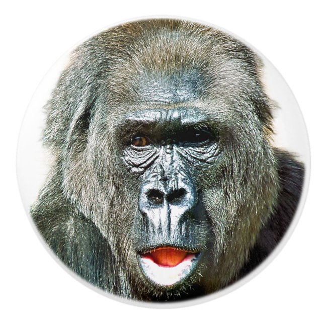 FUNNY CUTE GORILLA CERAMIC KNOB (Front)