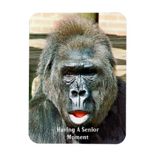 FUNNY CUTE GORILLA MAGNET