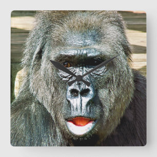 FUNNY CUTE GORILLA SQUARE WALL CLOCK