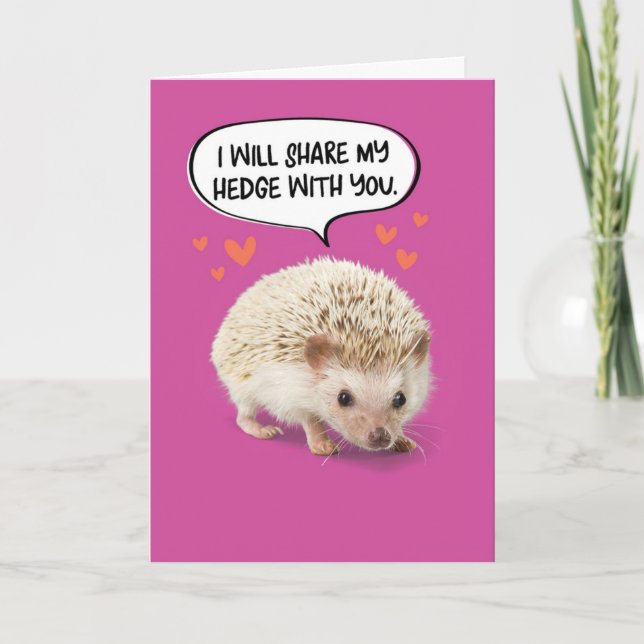 Funny Cute Hedgehog Birthday Card (Front)